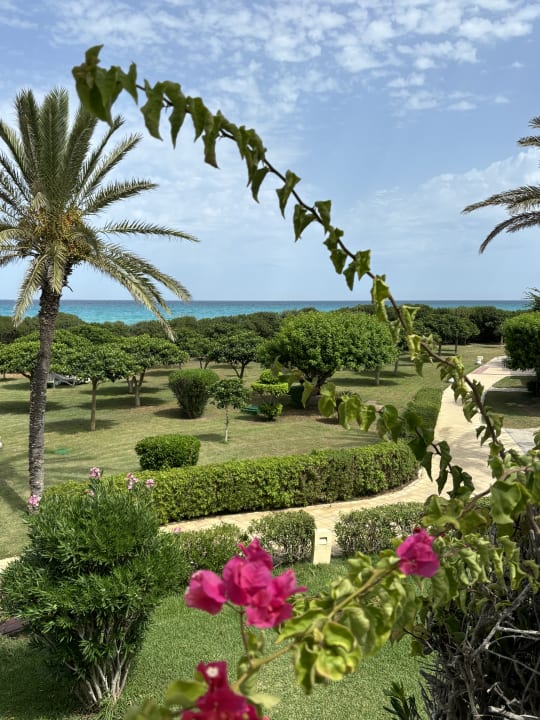 Gartenanlage Mahdia Palace Thalasso