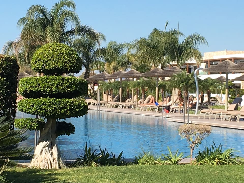 Pool TUI BLUE Palazzo del Mare