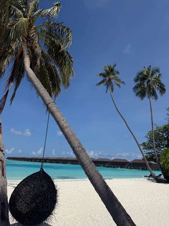 Strand Meeru Maldives Resort Island