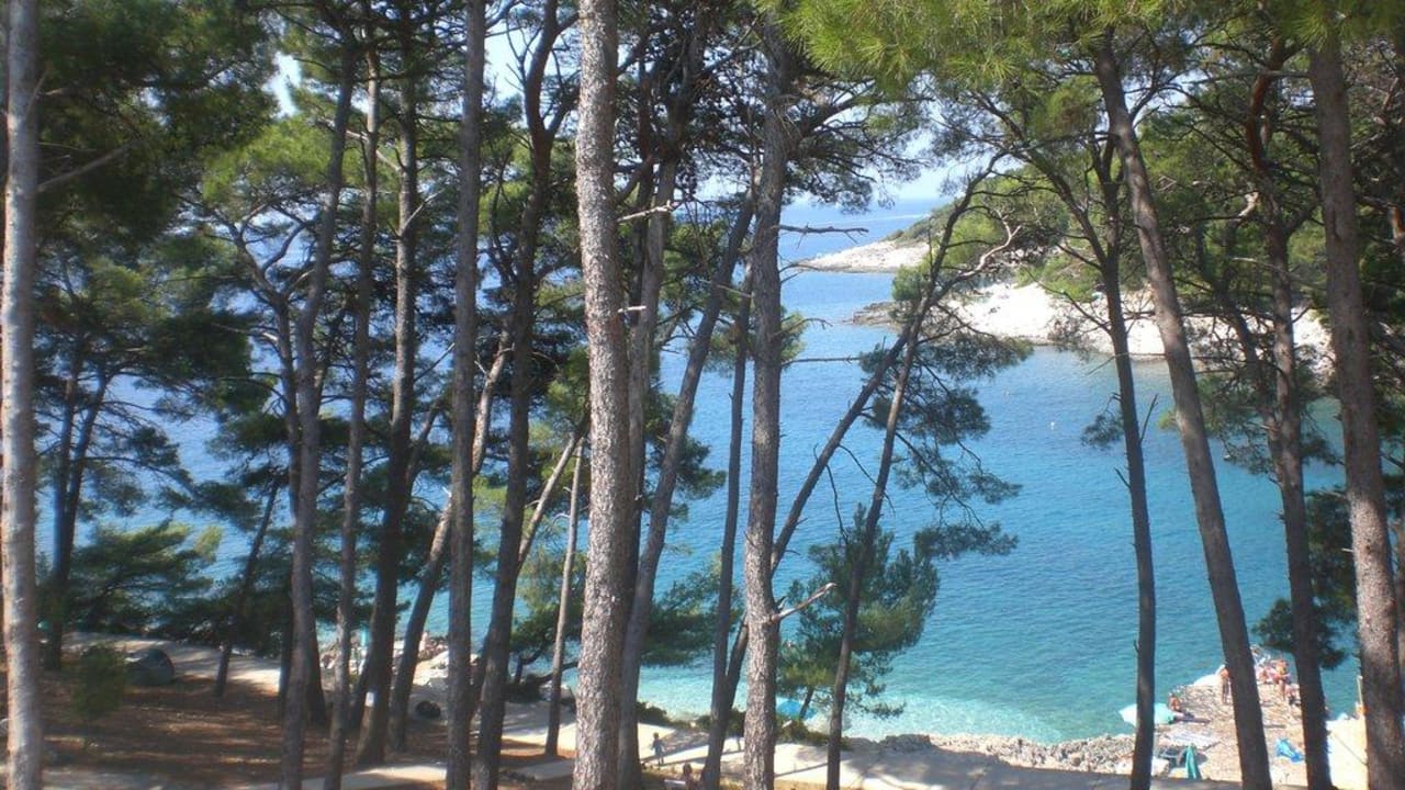 Vom Hotel aufs Meer  Hotel Aurora