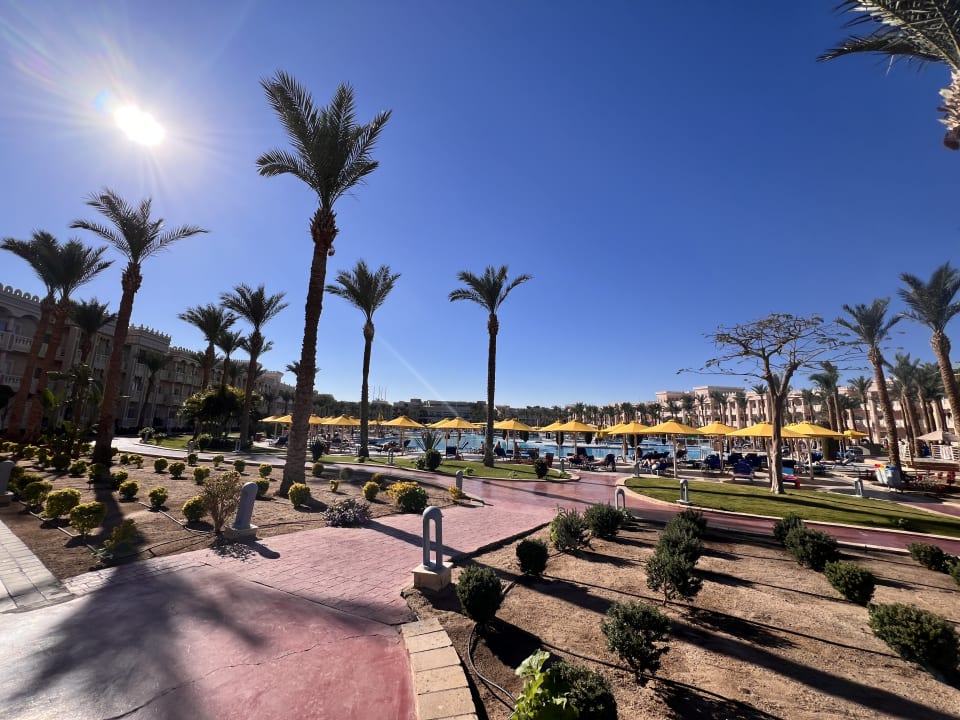 Ausblick Pickalbatros Palace Resort