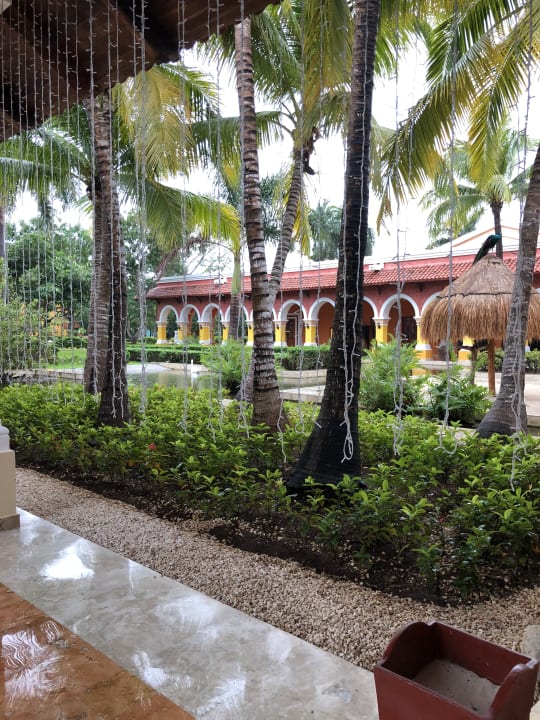 Gartenanlage Iberostar Waves Paraiso Beach