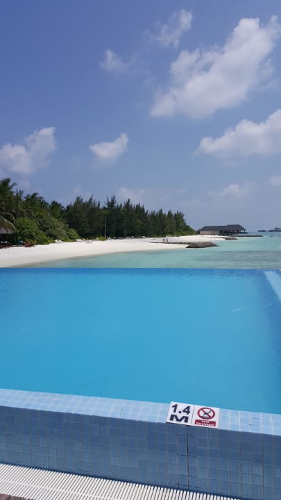 Blick vom Pool auf den Strand  Summer Island Maldives