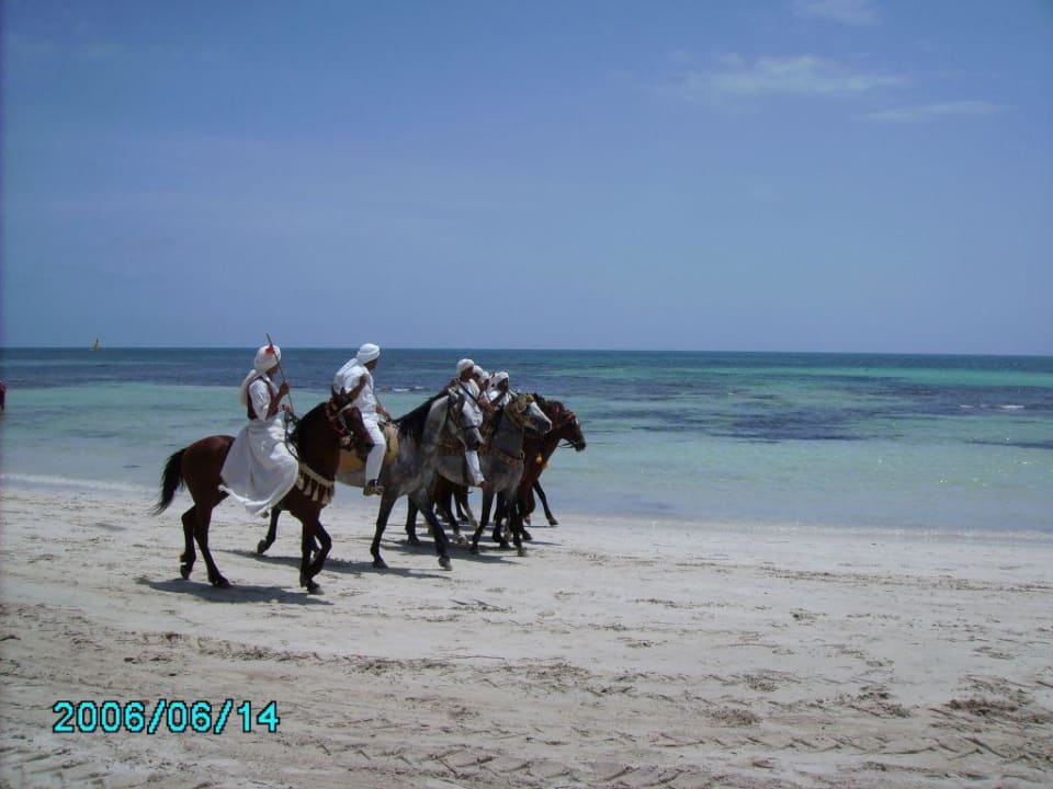 Reiterspiele am Strand Hotel El Mouradi Djerba Menzel