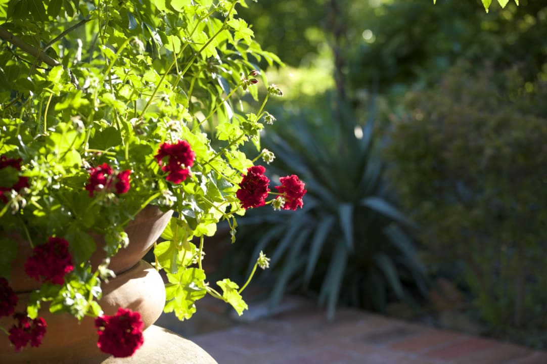 Gartenanlage Ventena Vecchia antico frantoio