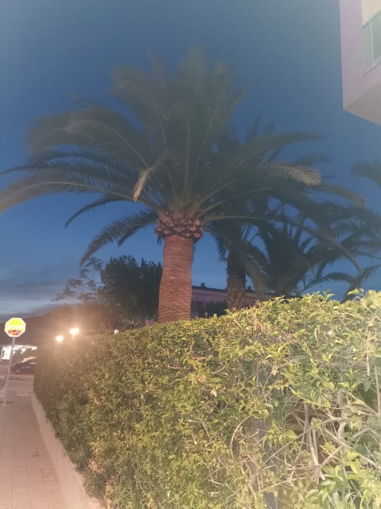 Gartenanlage La Santa Maria Hotel