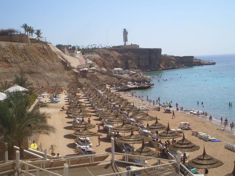 Strand (linke Seite) Reef Oasis Beach Resort