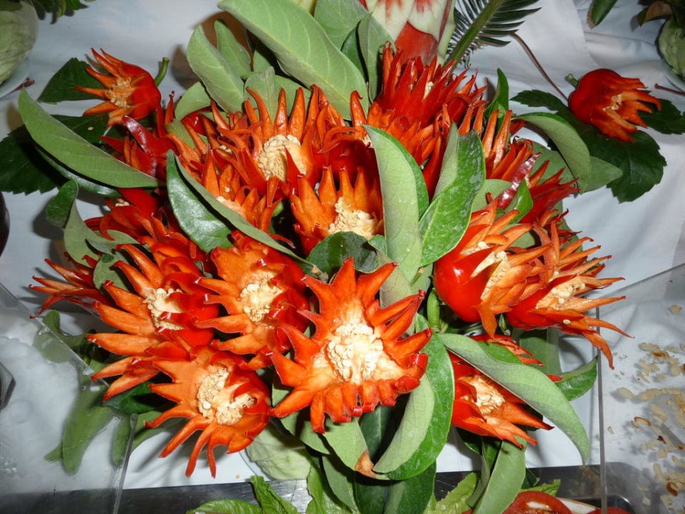Blumen aus Paprika Saphir Resort & Spa