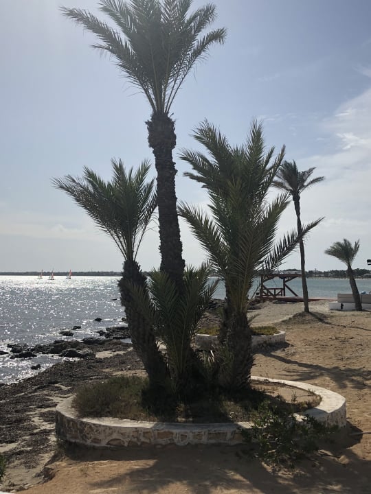Strand Hotel El Mouradi Djerba Menzel