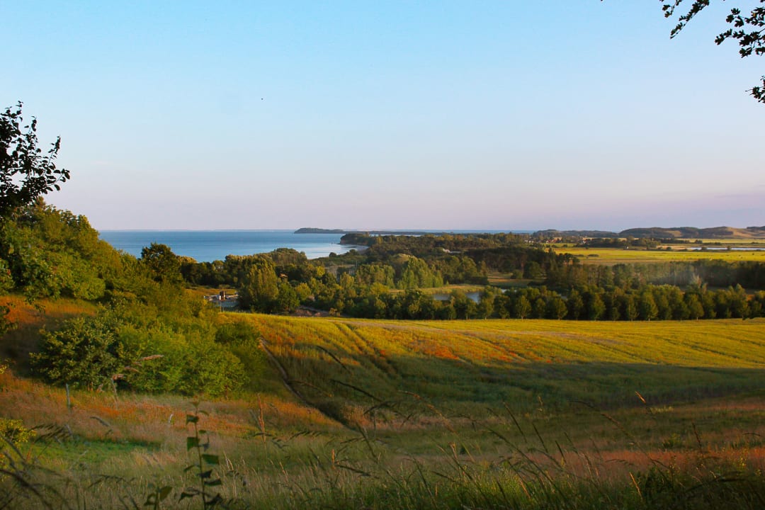 Ausblick Ferienhaus Auszeit - Paradies Rügen