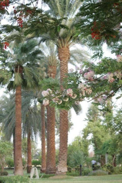 Gartenanlage Jolie Ville Kings Island Luxor