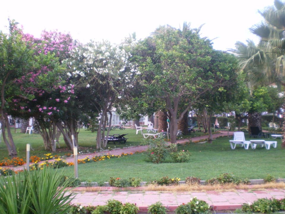 Der Hotelgarten Seher Kumköy Star Resort & Spa