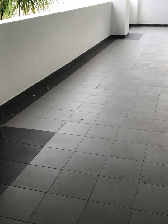 Lobby Hotel Riu Republica - Adults only