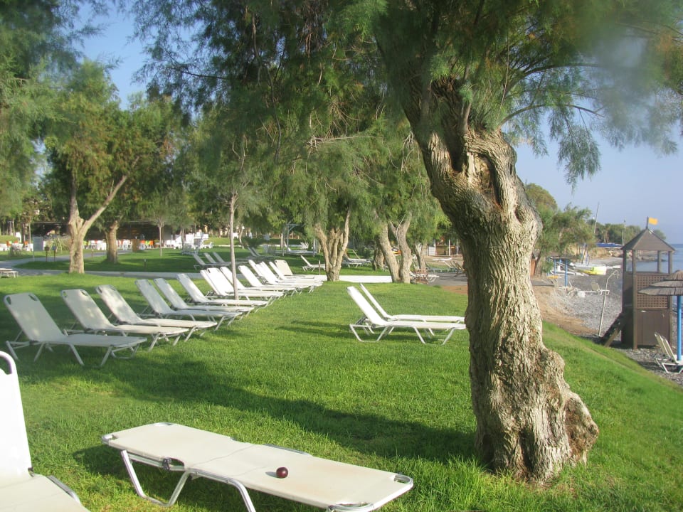 Plaża TUI BLUE Oceanis Beach and Spa Resort