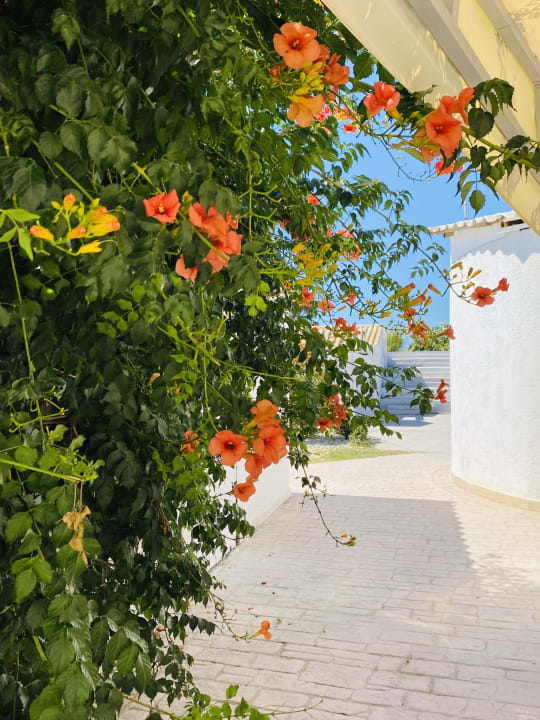 Gartenanlage Sandy Beach Resort