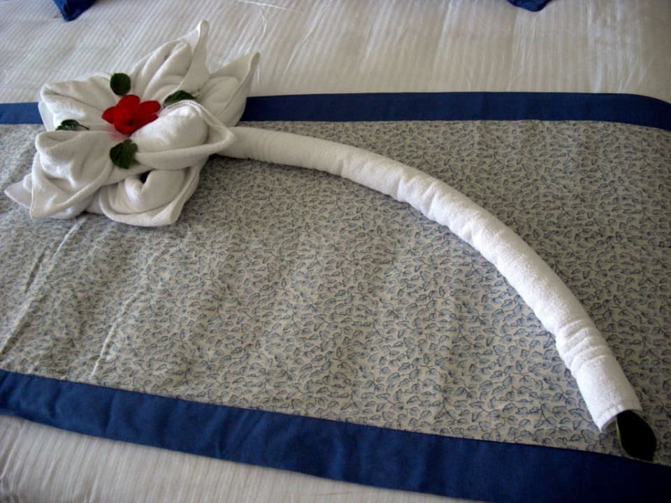 Blume Jaz Grand Marsa