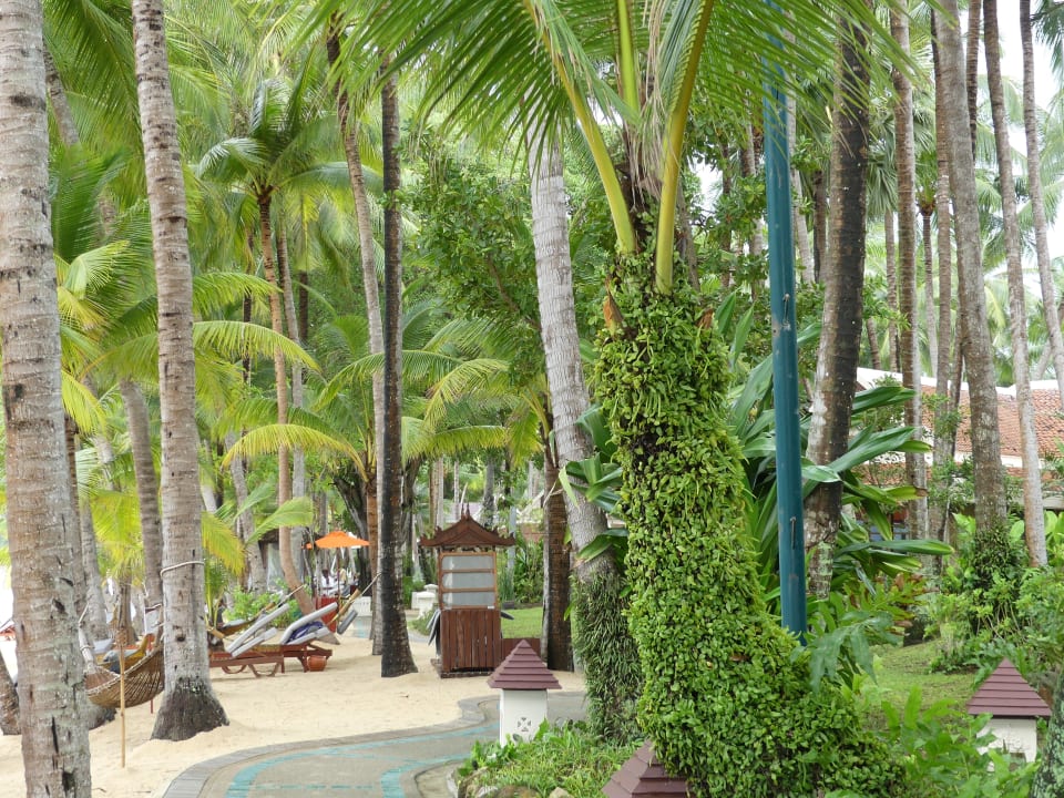 Strand Santiburi Koh Samui