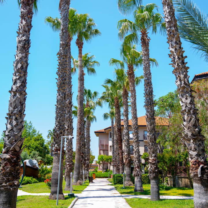 Außenansicht Alba Resort Hotel