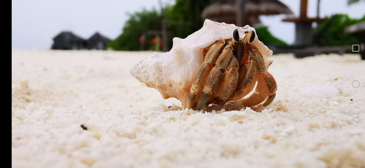 Sonstiges Kuredu Island Resort & Spa