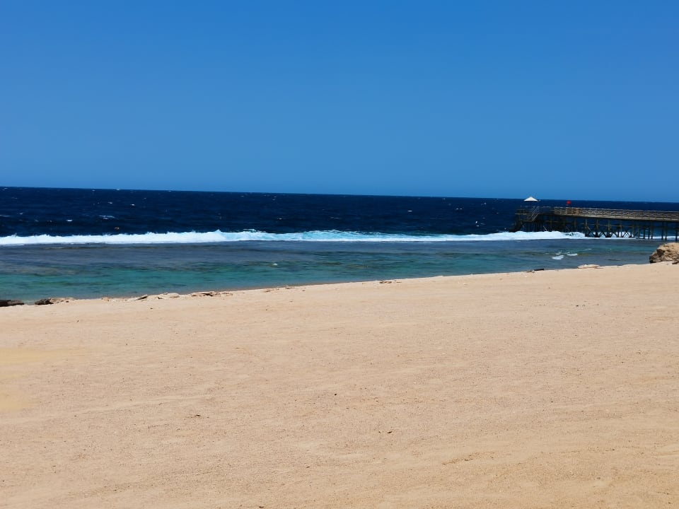 Strand Steigenberger Resort Alaya Marsa Alam - Red Sea - Adults only
