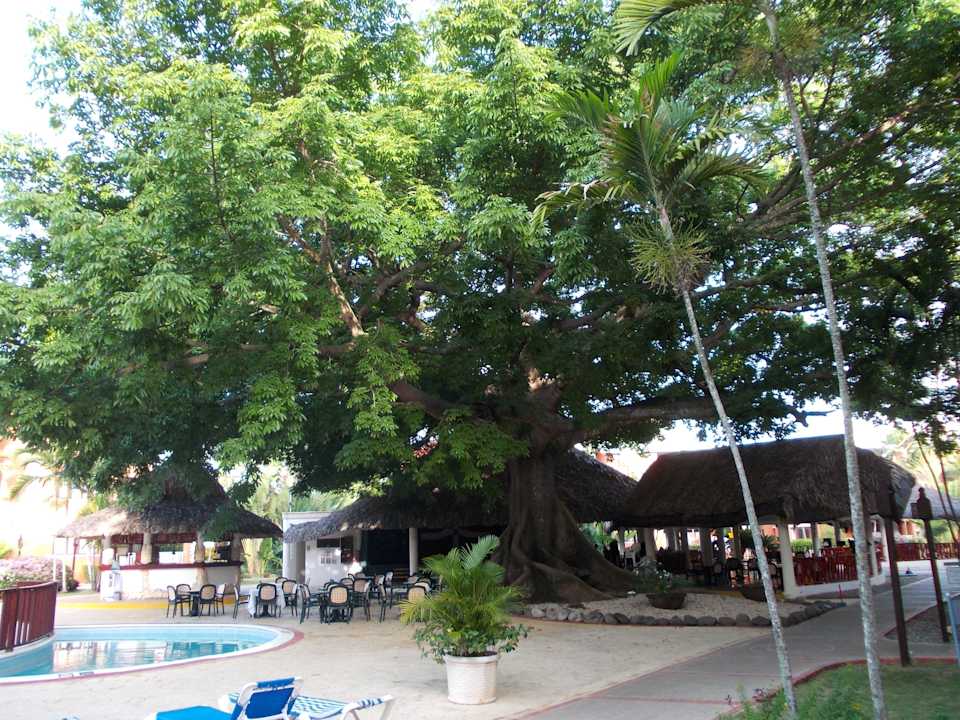 Der Ruhepool BelleVue Dominican Bay