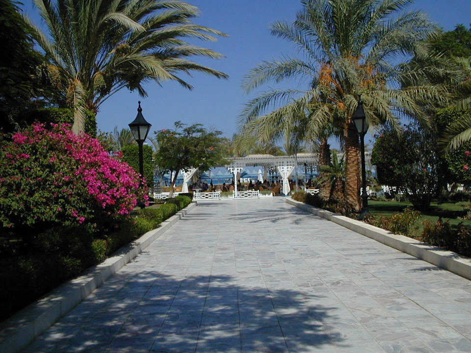 Im Garten The Grand Hotel Hurghada