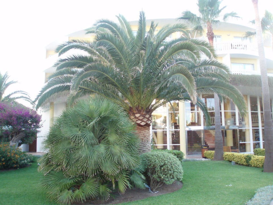 Palme Iberostar Selection Albufera Park