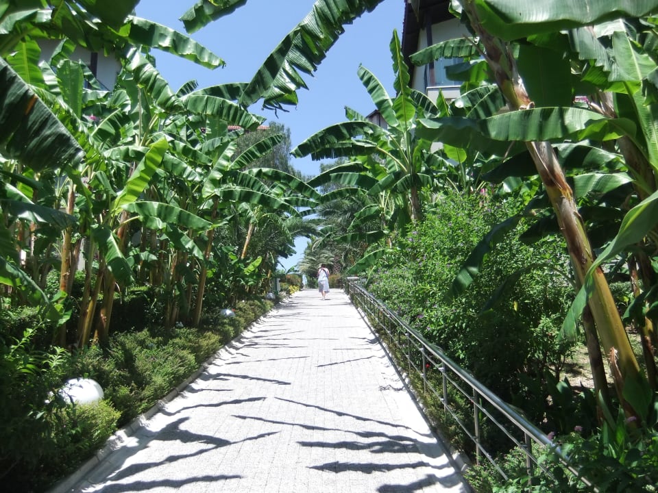 Der Weg zum Strand Sealife Buket Resort & Beach