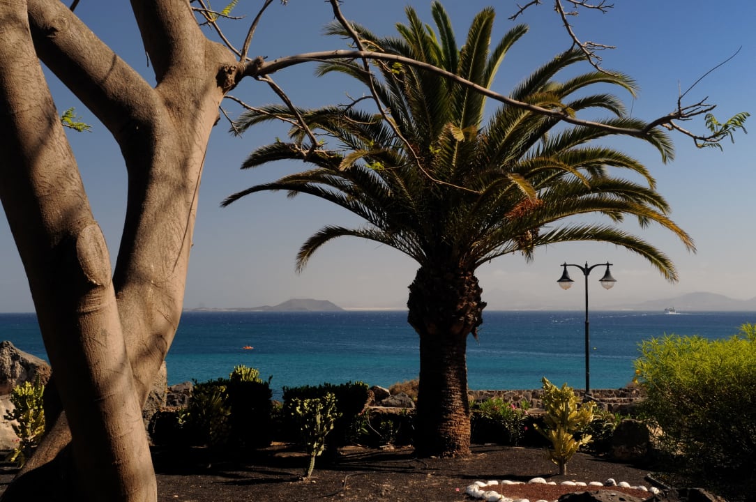 Gartenanlage Dreams Lanzarote Playa Dorada Resort & Spa