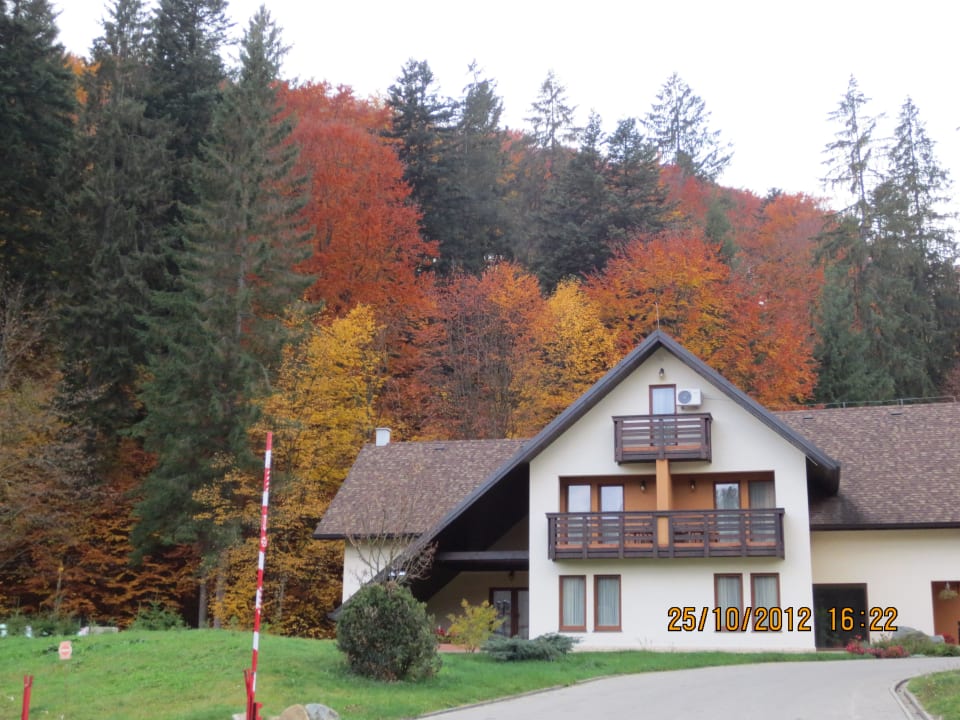 Villa mit Umgebung Hotel Popas Turistic Bucovina