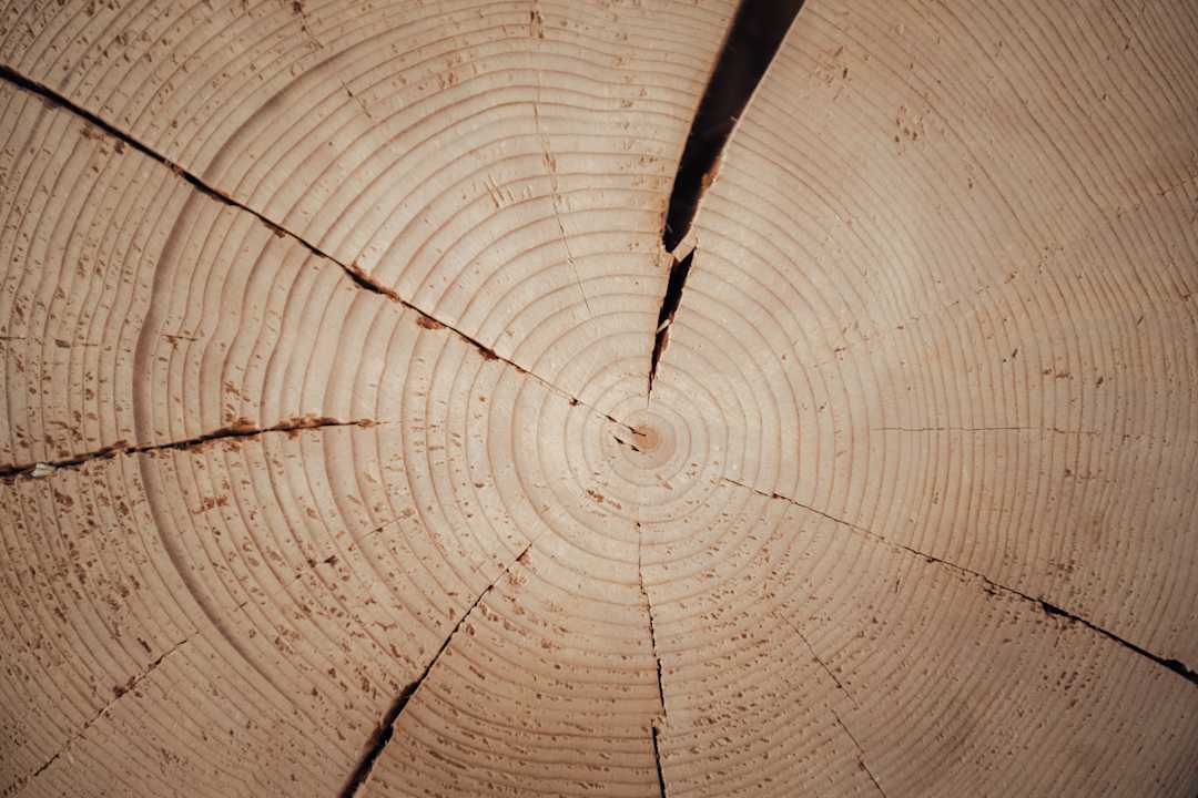 Sonstiges BEIM MOSER  Apartments