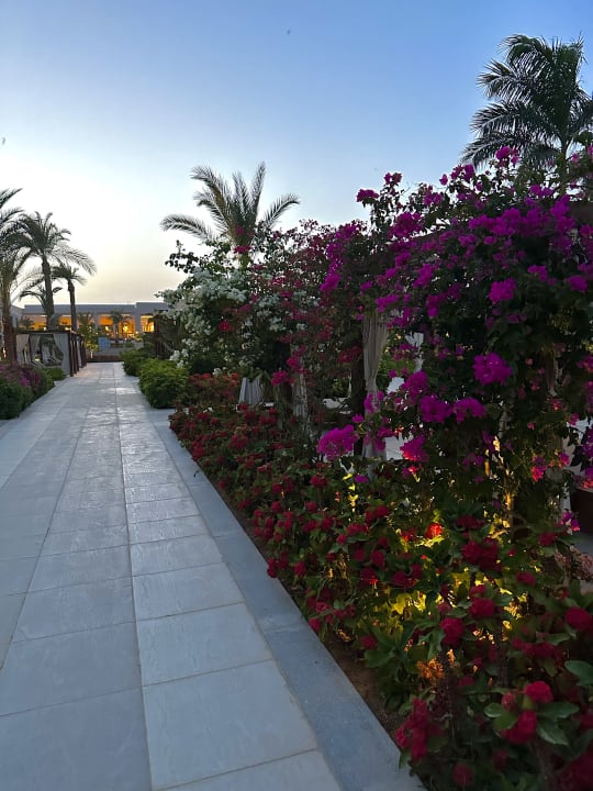 Gartenanlage Steigenberger Resort Ras Soma