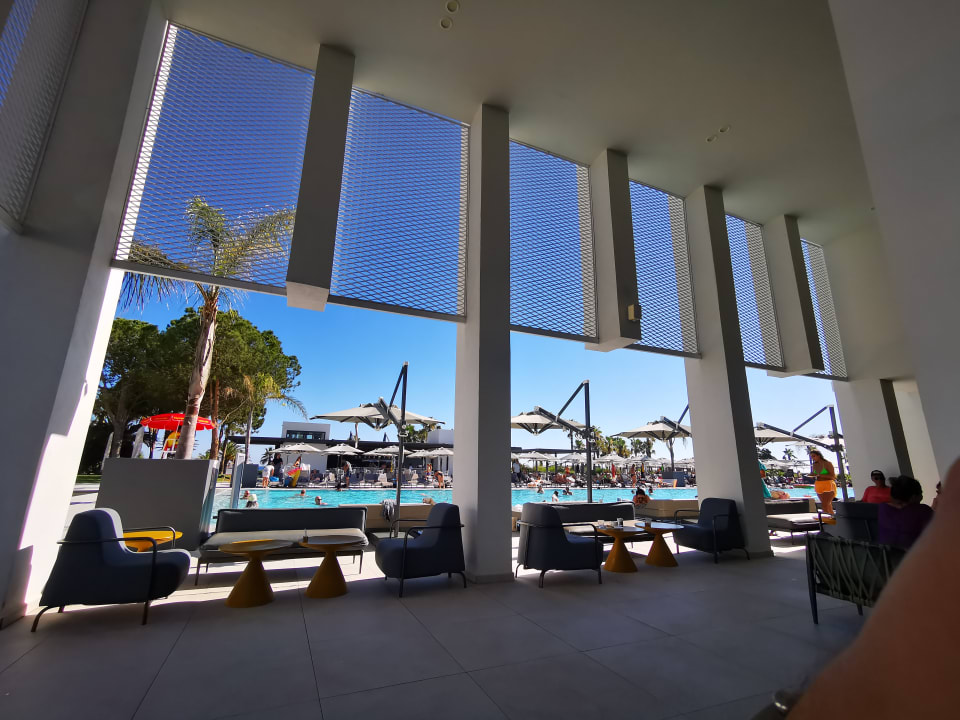 Gastro Paloma Finesse