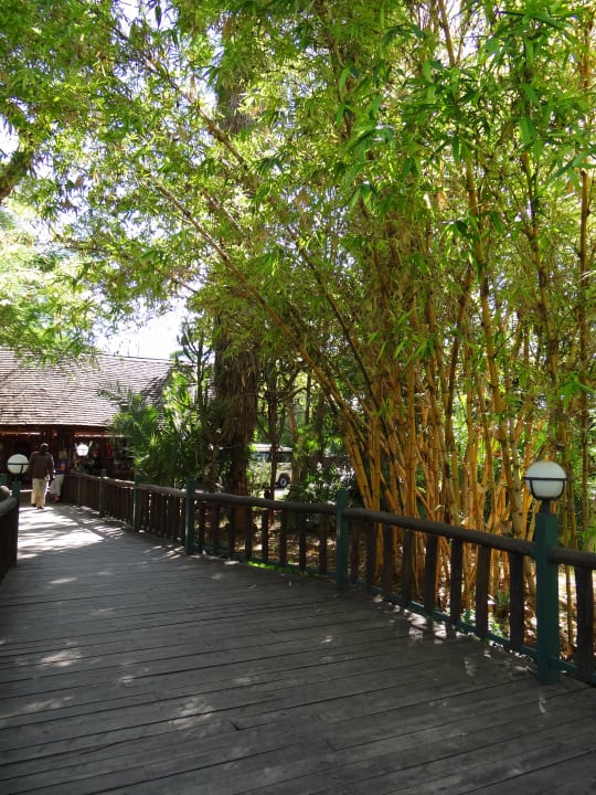 Zum Eingang Ol Tukai Lodge