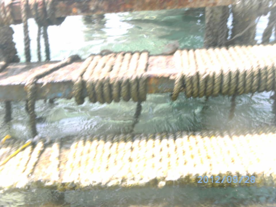 Badesteg Menaville Safaga