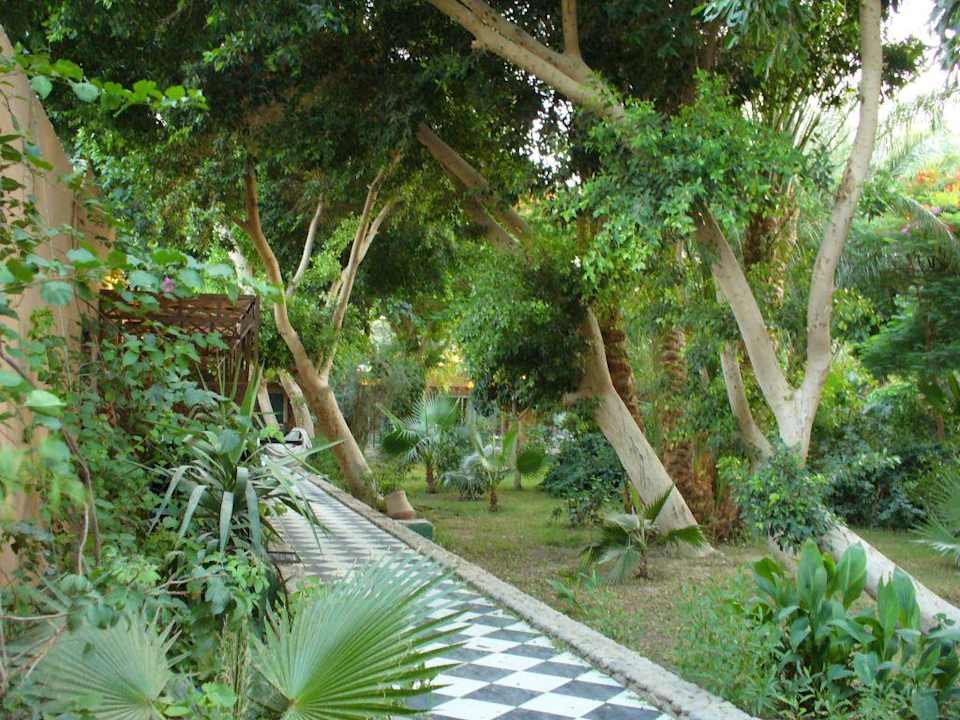 Grünanlage Giftun Azur Resort