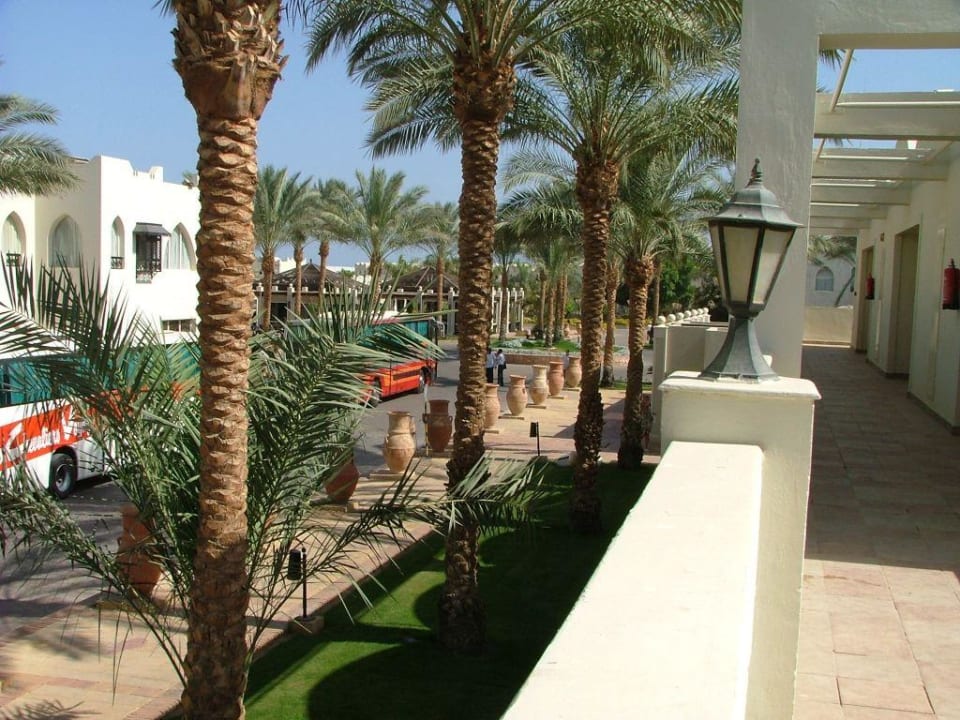 Sicht zur Hauptbar Reef Oasis Beach Resort