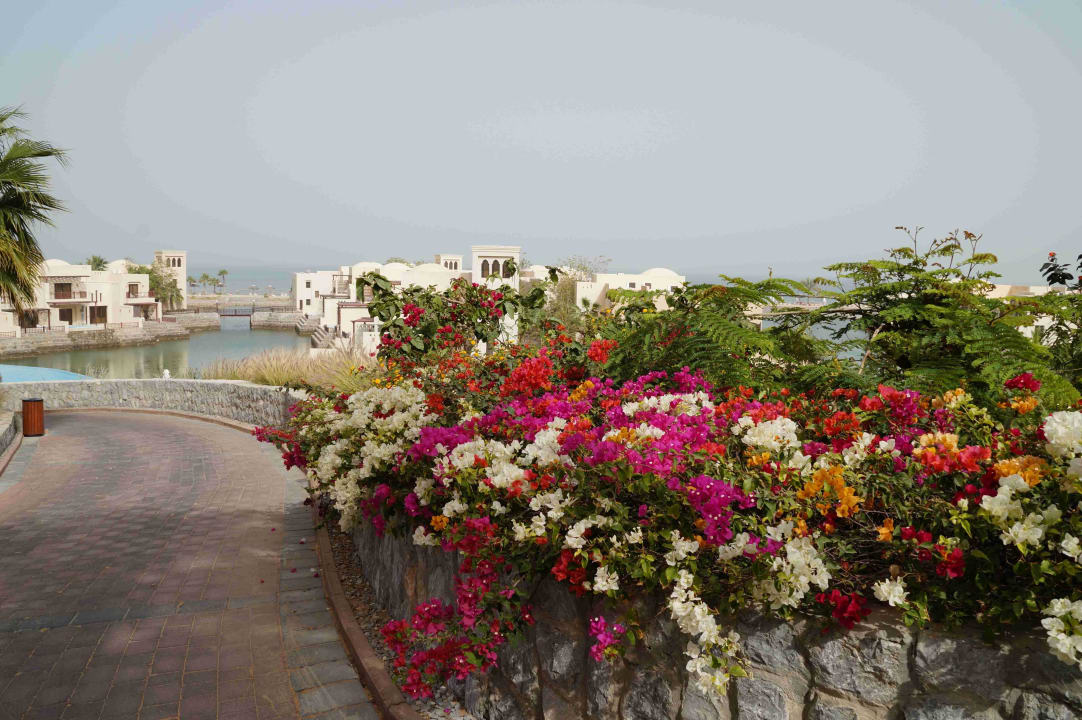Hotel The Cove Rotana The Cove Rotana Resort