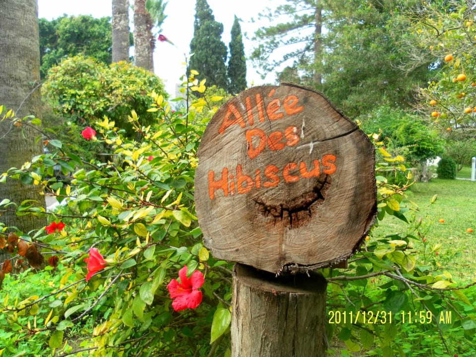 Gartenbereich The Orangers Beach Resort and Bungalows