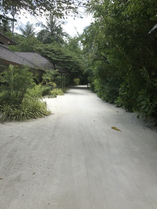Gartenanlage Atmosphere Kanifushi Maldives
