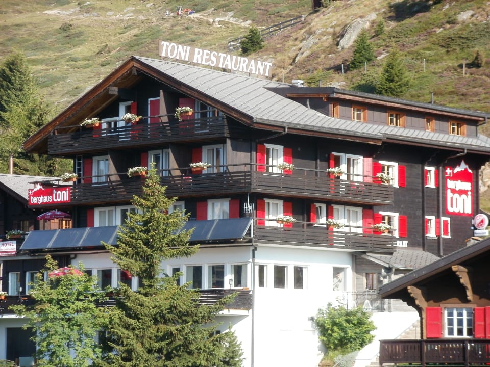 Summer - Hotel Close up Berghaus Toni