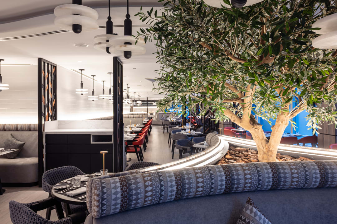 Gastro Rose Rayhaan by Rotana