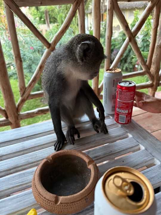 Außenansicht Neptune Palm Beach Boutique Resort & Spa