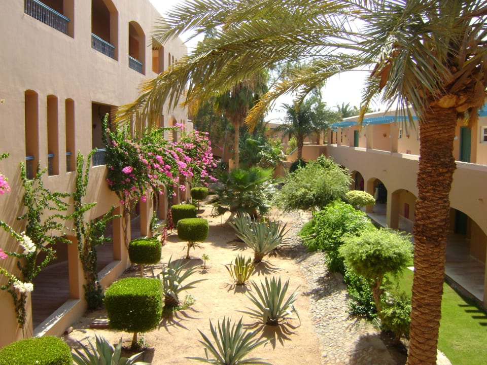 Hotelanlage Club Paradisio El Gouna, Red Sea