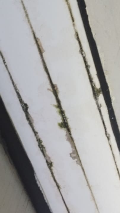 Zimmer Moracea by Khao Lak Resort