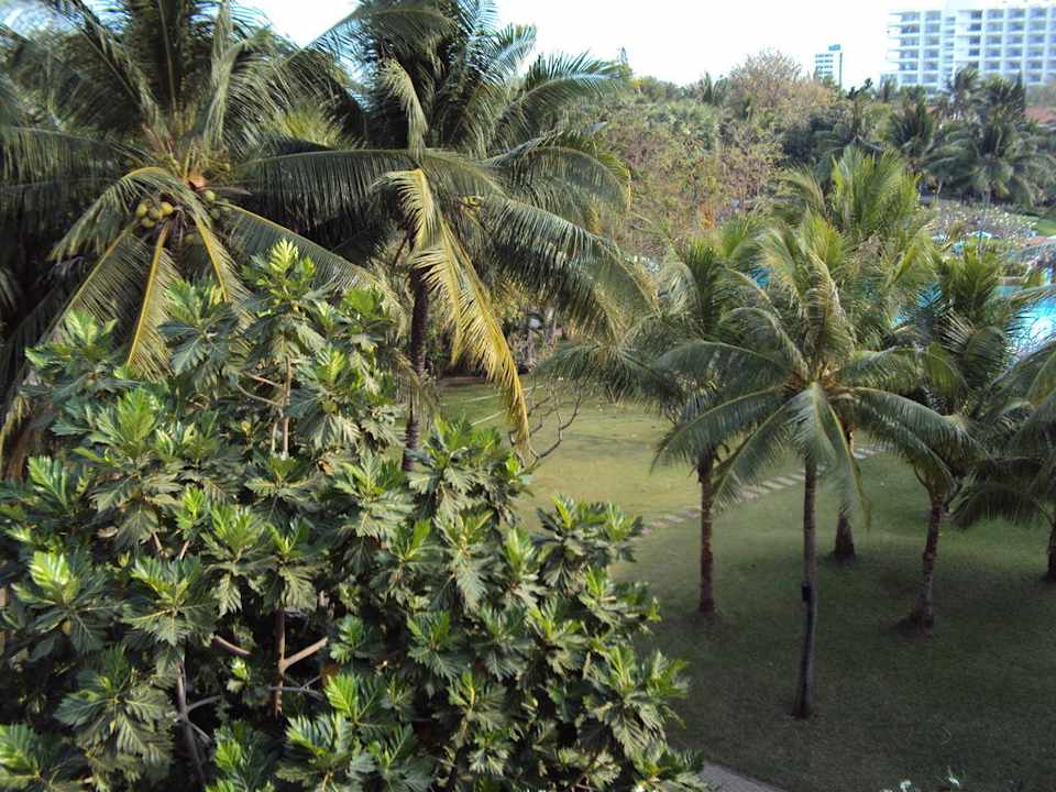 Ausblick vom Zimmer The Regent Cha Am Beach Resort