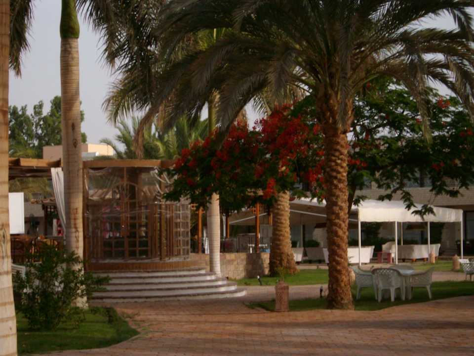 Runde Pergola von Aladdinbar Bereich Ali Baba Palace Hotel
