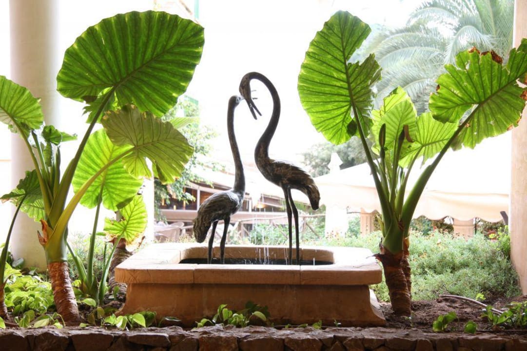 Das Hotel Lago Garden