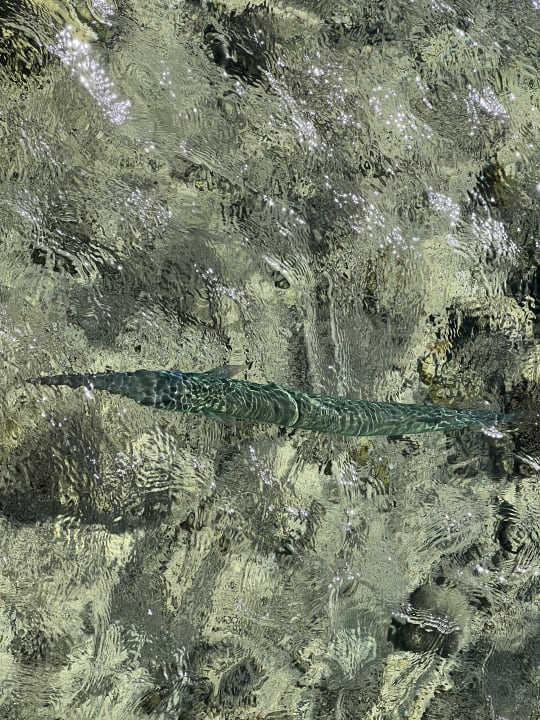 Strand Steigenberger Coraya Beach - Adults only