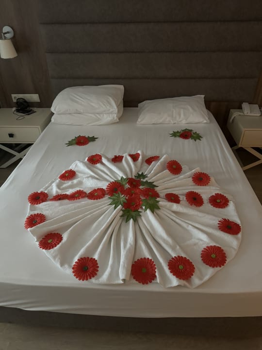 Zimmer Monachus Family Resort Sorgun